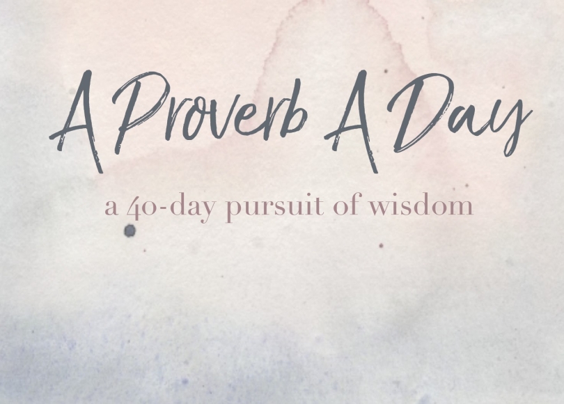 A Proverb A Day Cover